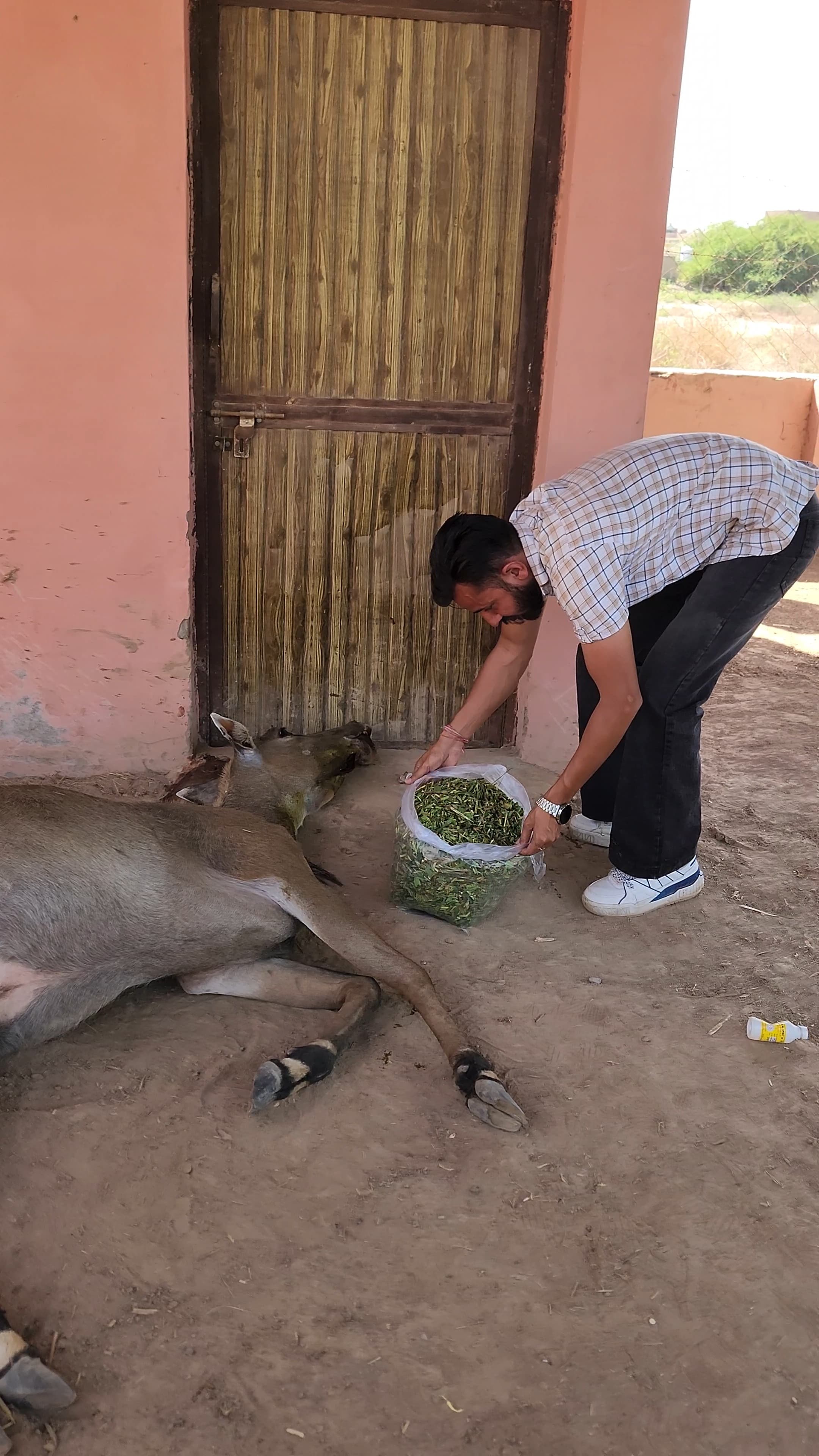 Feeding Drive